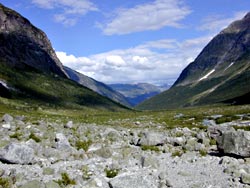 Blick auf das Gletschertal
