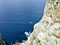 die Vogelfelsen von oben